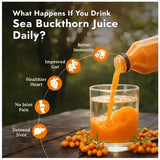 Premium Sea Buckthorn Juice - in Glass bottle