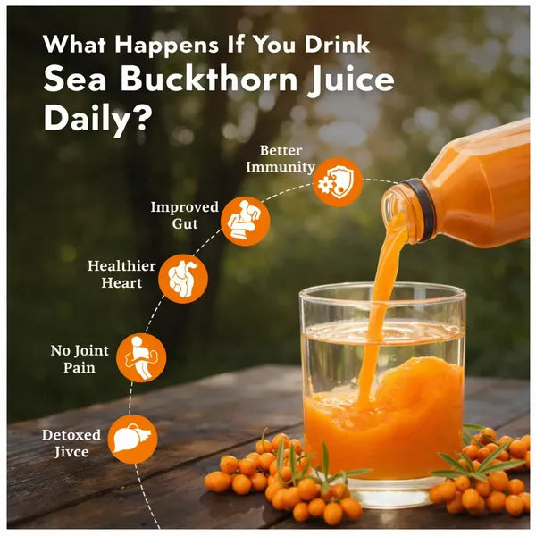 GIS HealthCare Sea Buckthorn Juice
